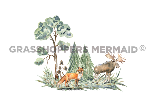 Mountain Life Scenery