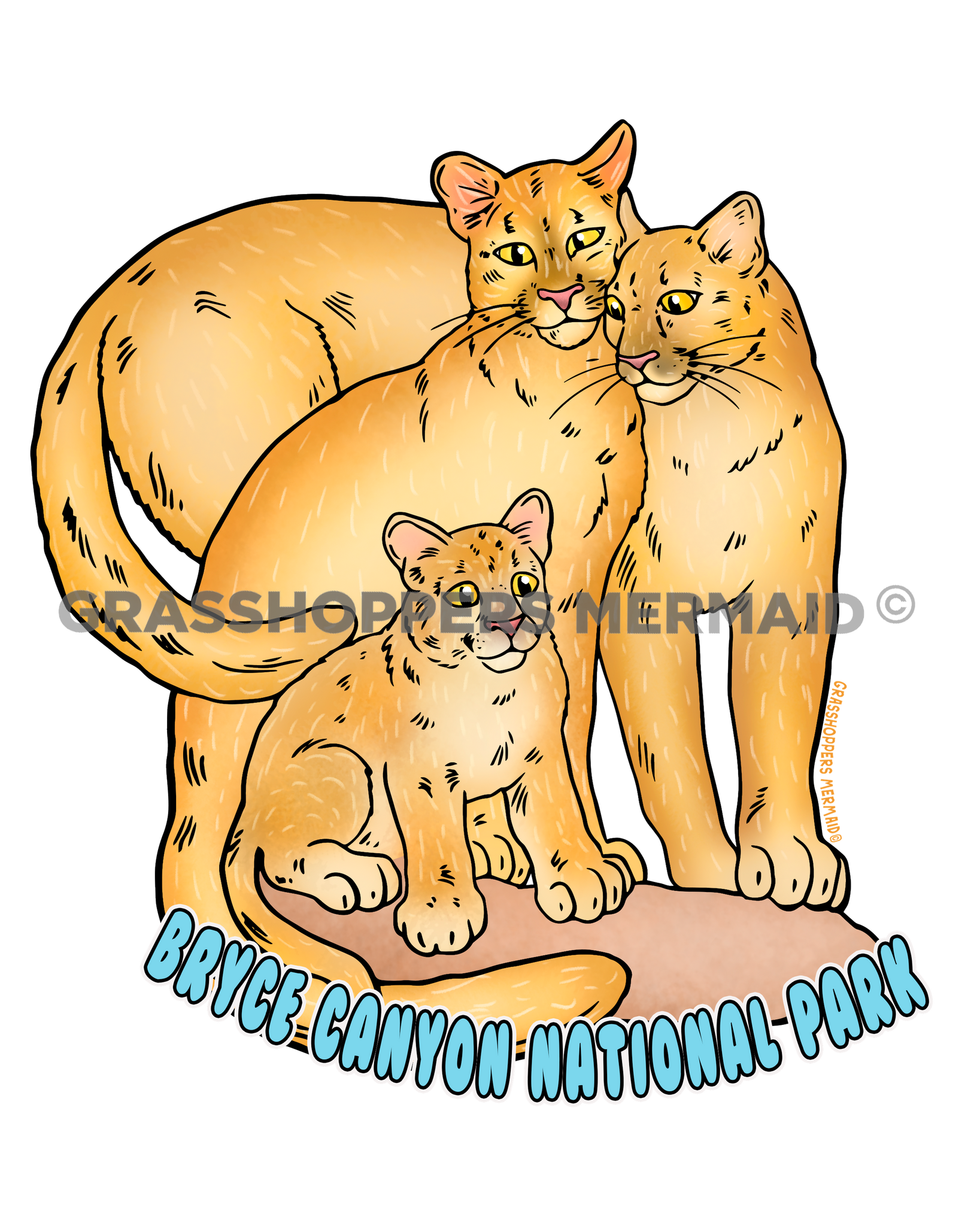 Mountain Lion Family