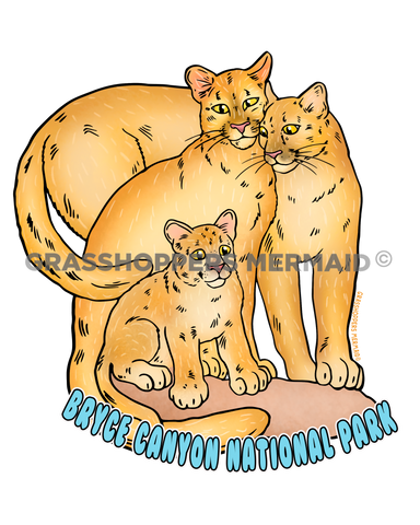 Mountain Lion Family