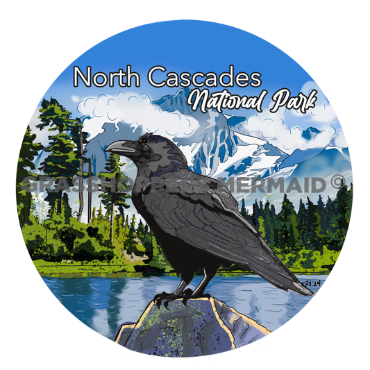Mountain Raven