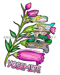 Mountain Pride Flower
