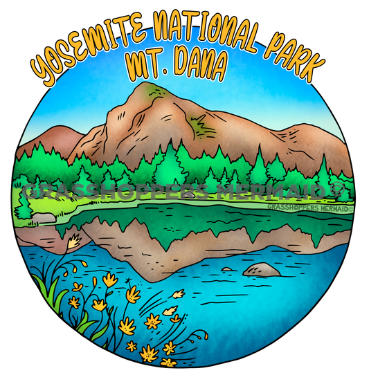 Mt Dana Reflection