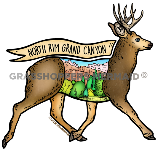 Mule Deer Grand Canyon