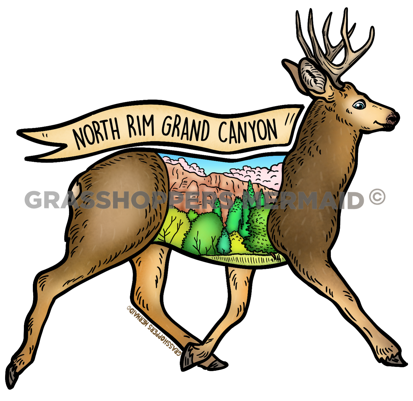 Mule Deer Grand Canyon