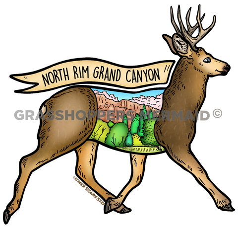 Mule Deer Grand Canyon