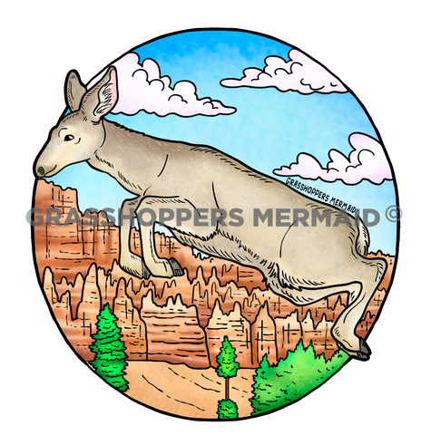 Mule Deer Jump