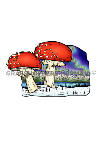 Northern Lights Mushrooms