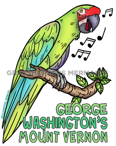Musical Green Parrot