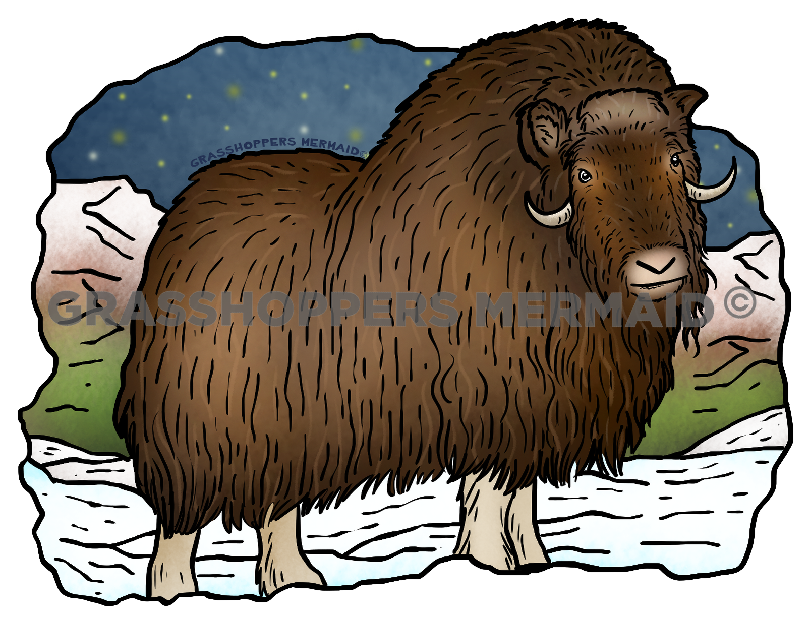 Musk Ox Nights
