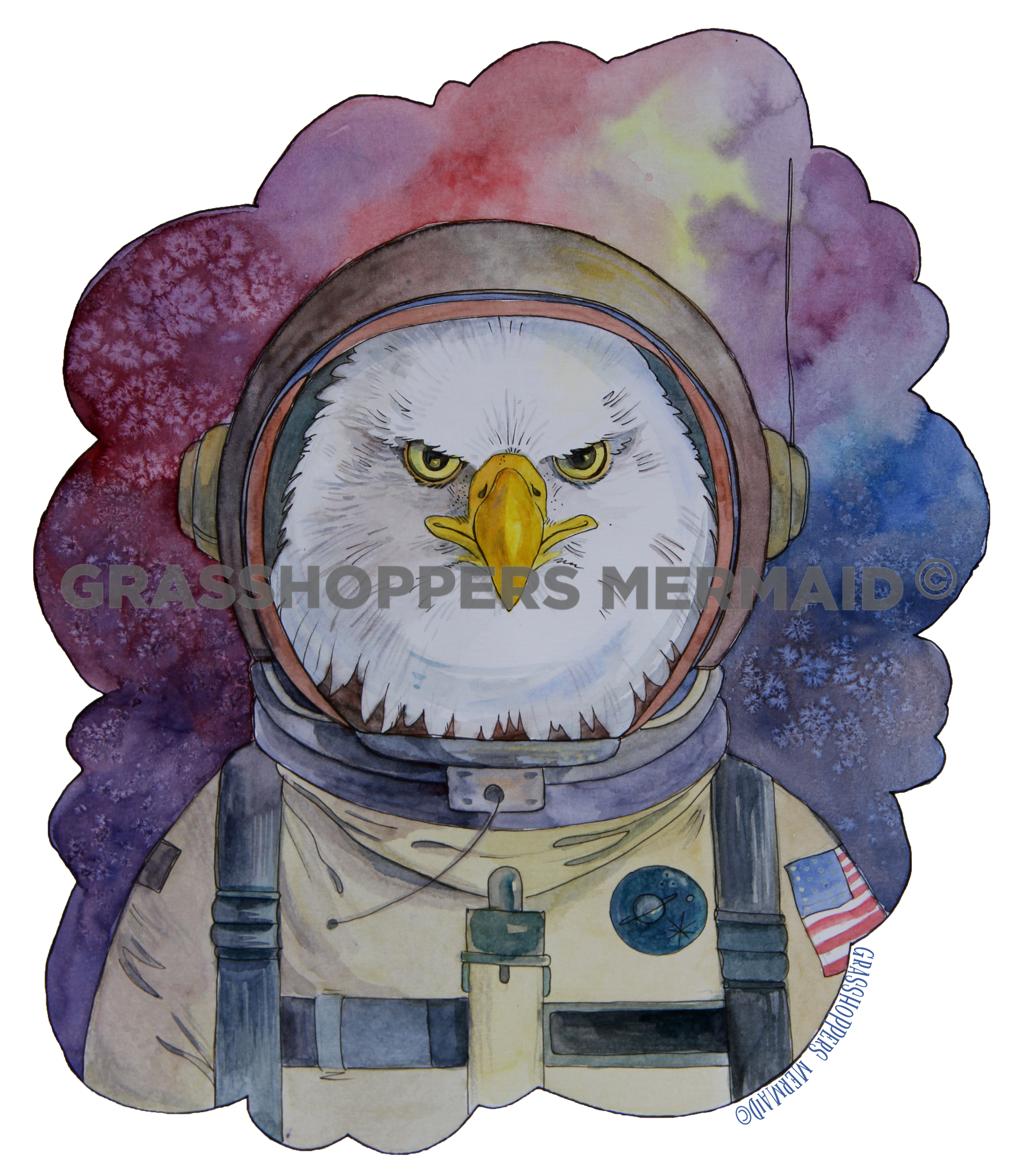Watercolor NASA Eagle