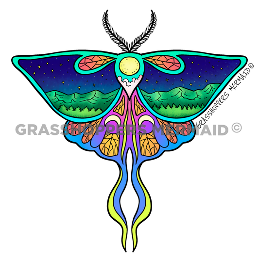 Night Moth