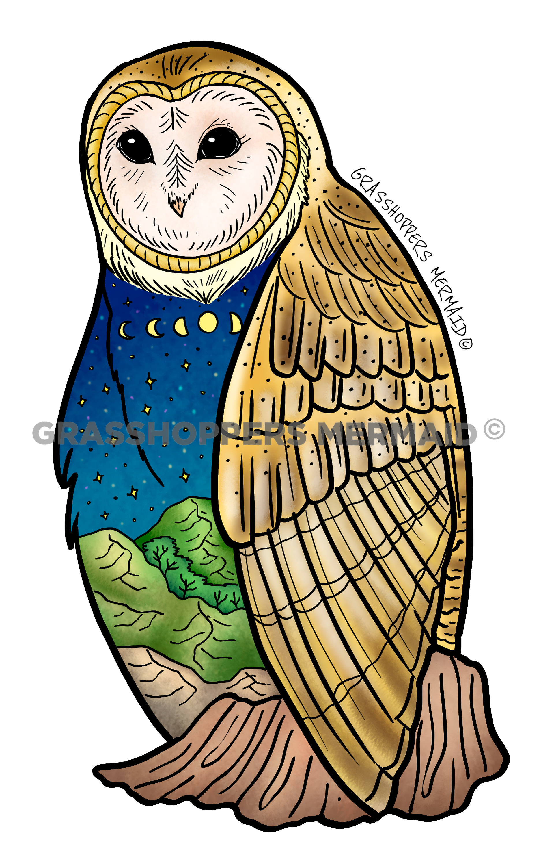 Night Owl