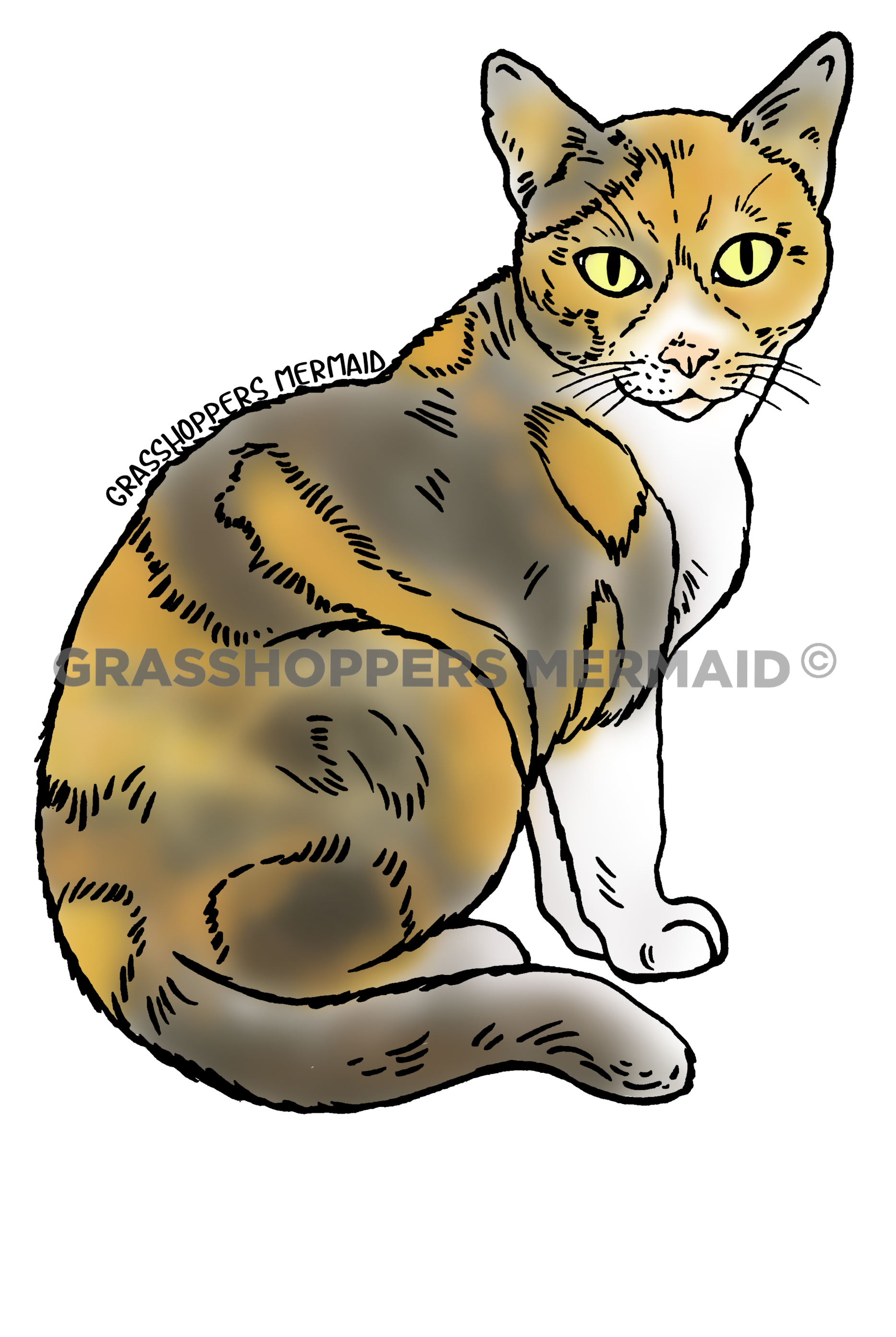 Nacho the Cat