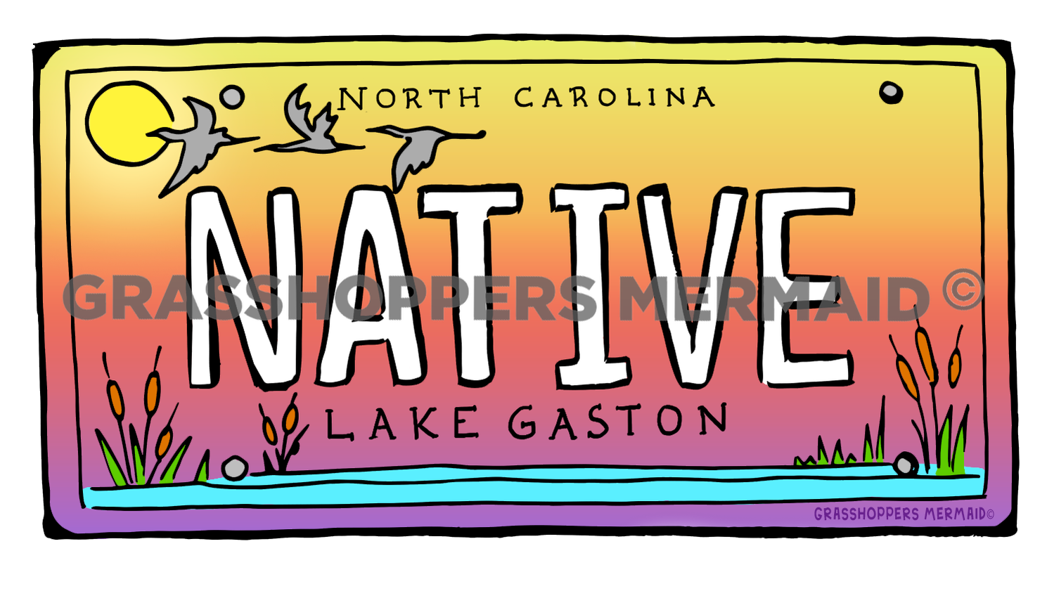North Carolina License