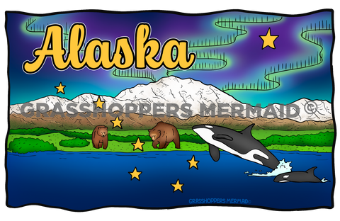 Northern Lights AK Flag
