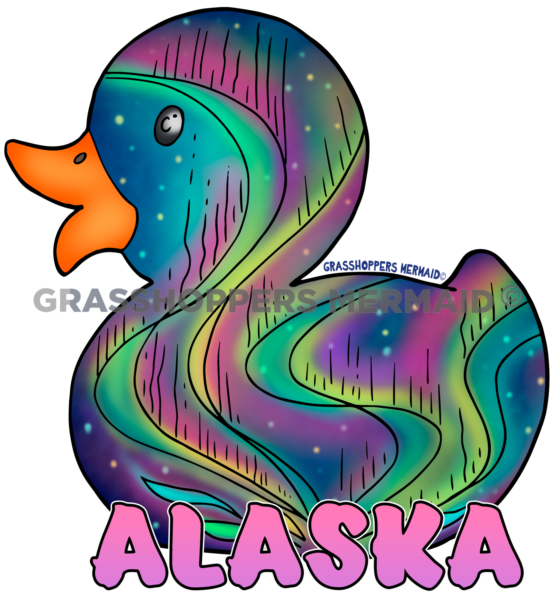 Northern Lights Duck