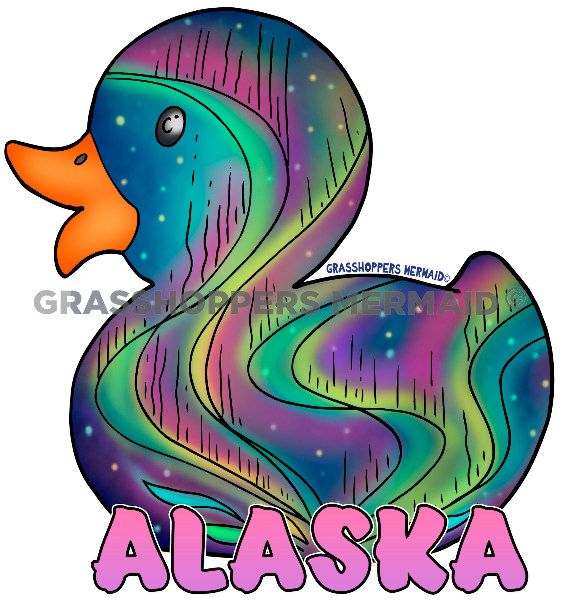 Northern Lights Duck