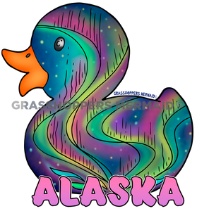 Northern Lights Duck