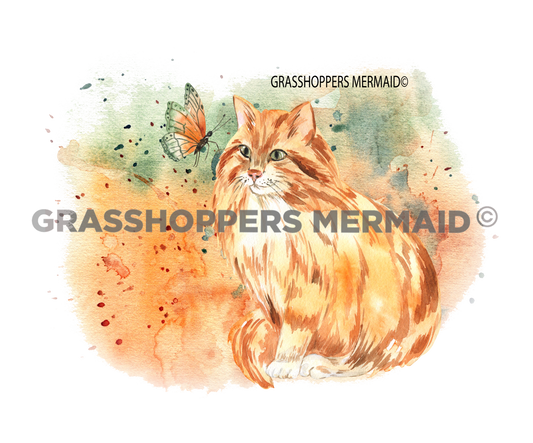 Orange Cat Butterflies