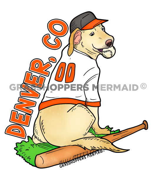 Orioles Baseball Dog