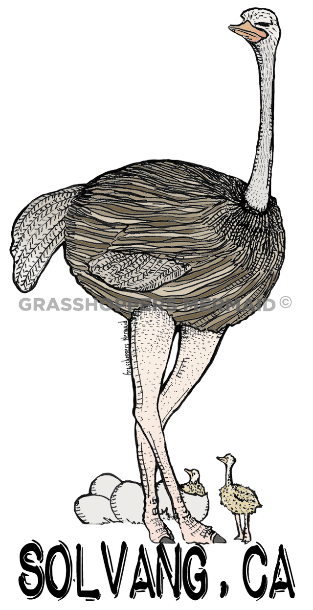Ostrich