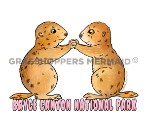 Paddy Cake Prairie Dogs