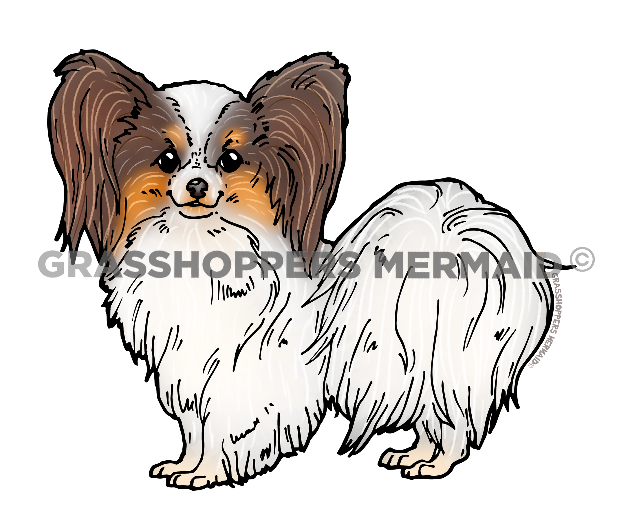 Papillon