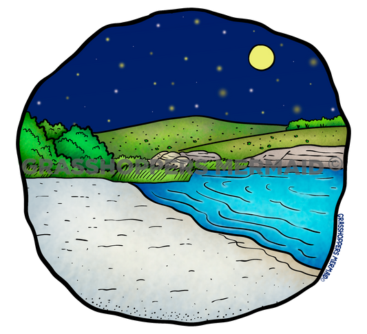 Patagonia Lake Beach Night