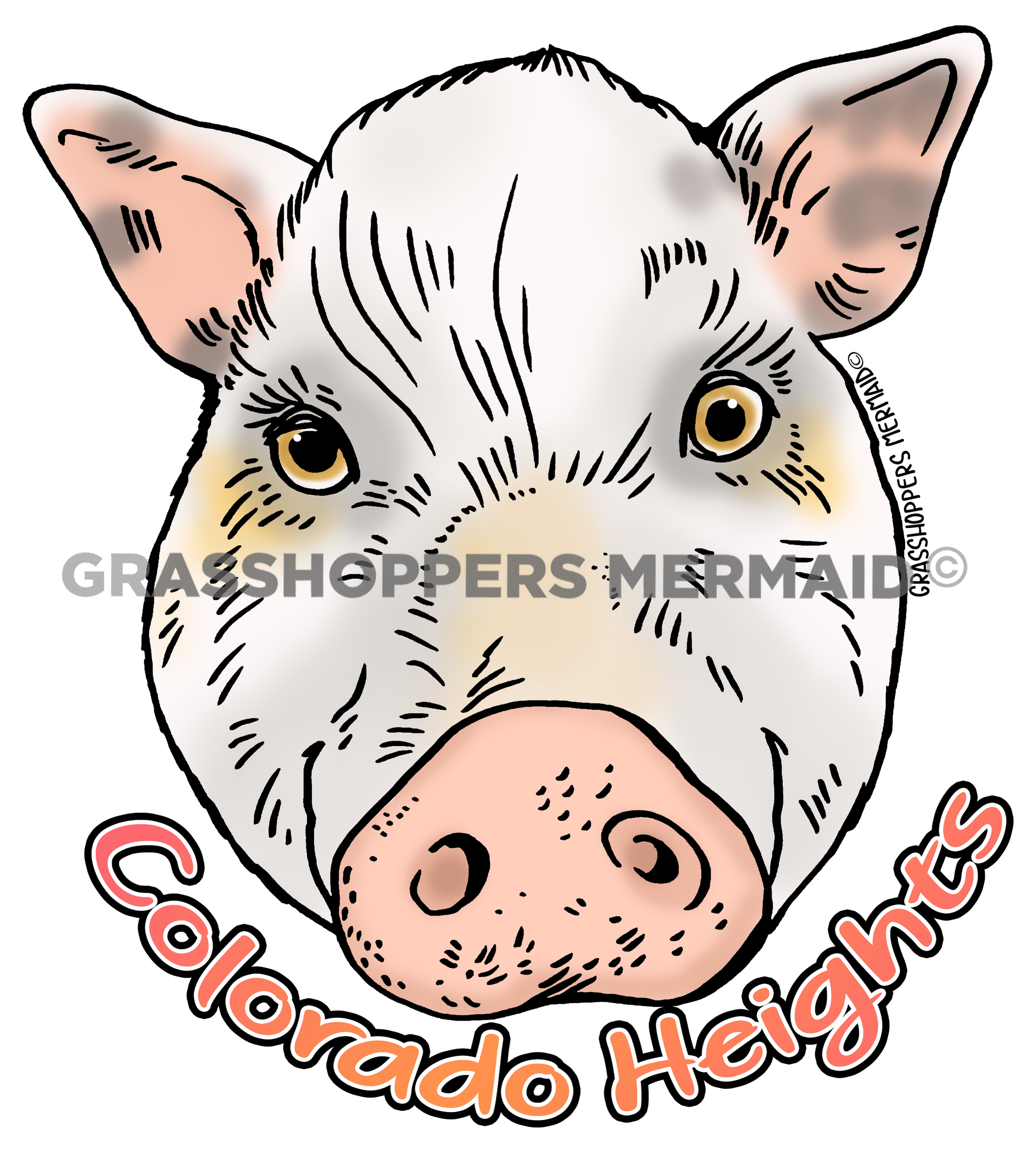 Patsy Swine the Pig