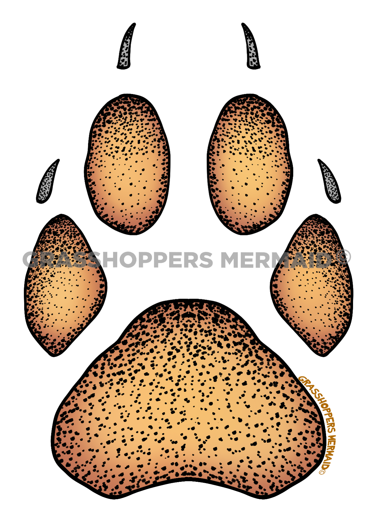 Paw