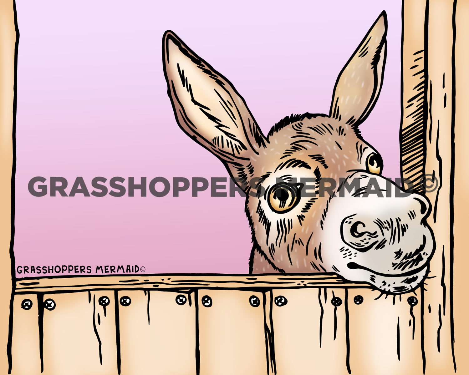 Peek-a-boo Donkey