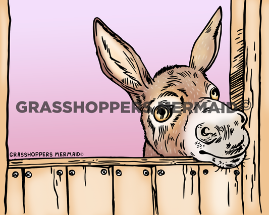 Peek-a-boo Donkey