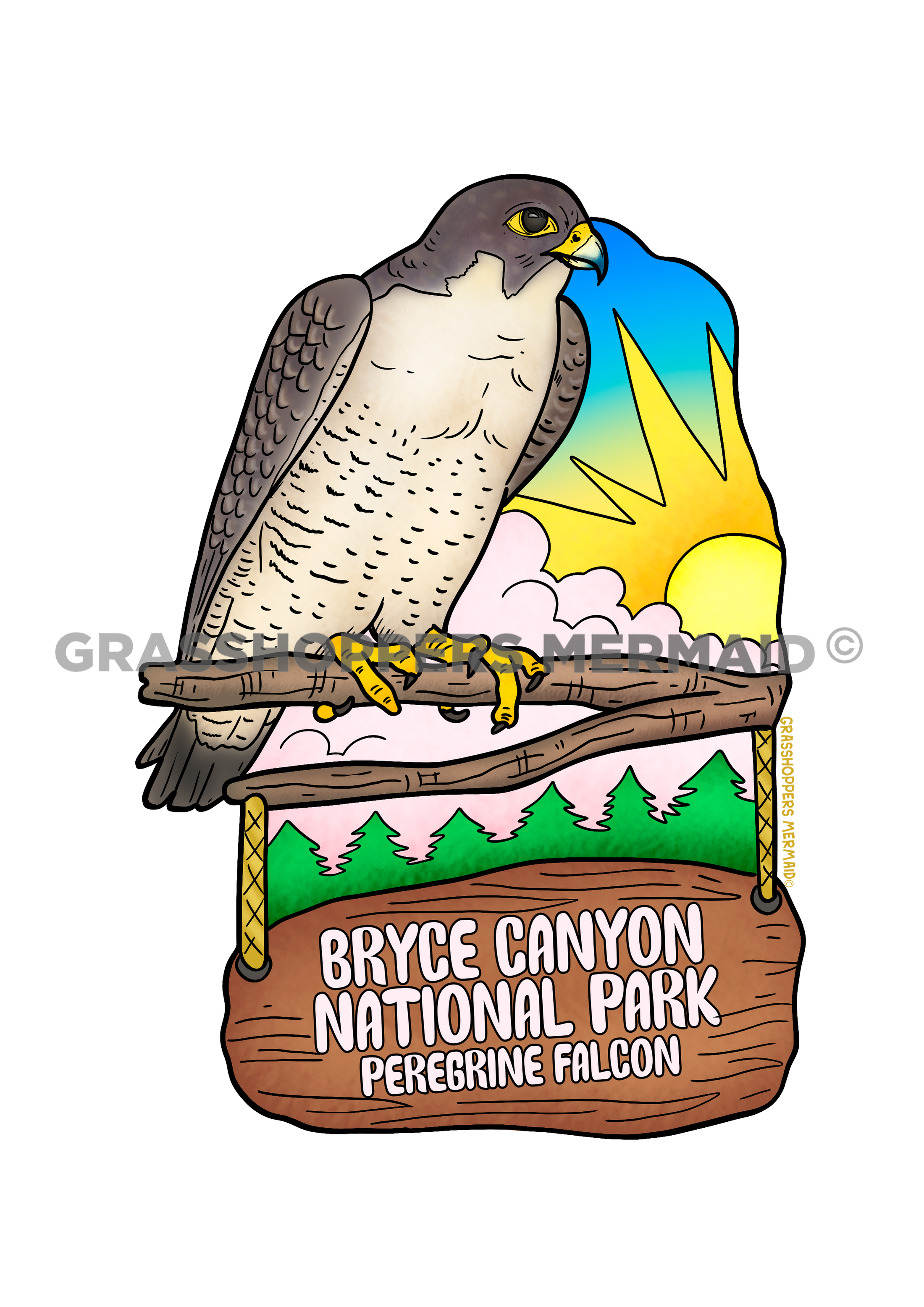 Peregrine Falcon Perch