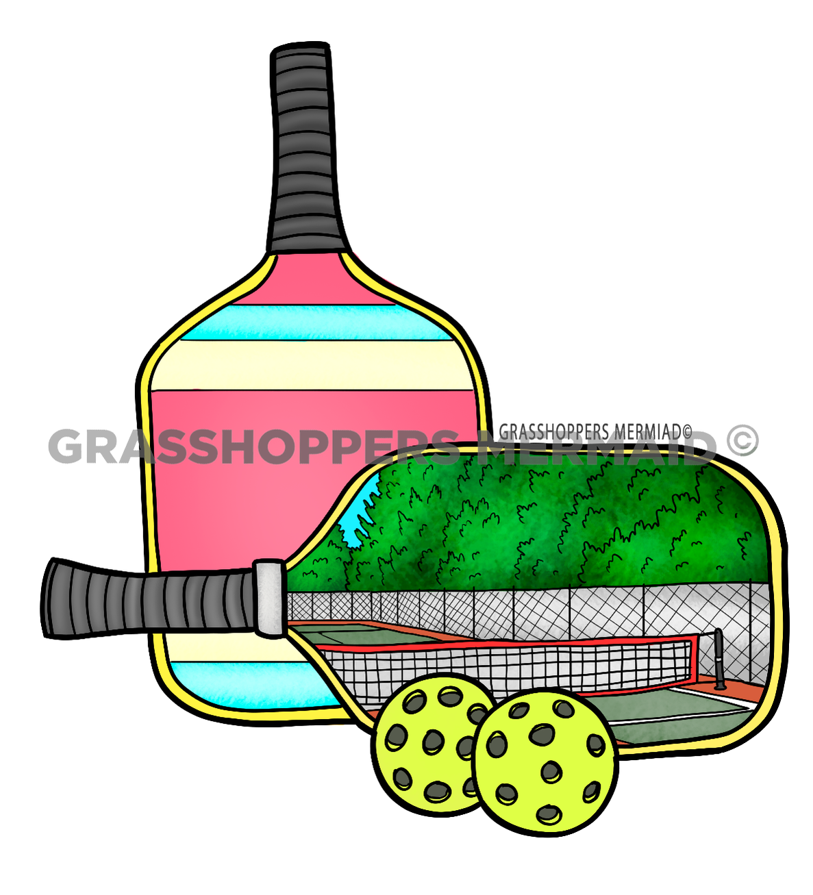 Pickleball Paddles