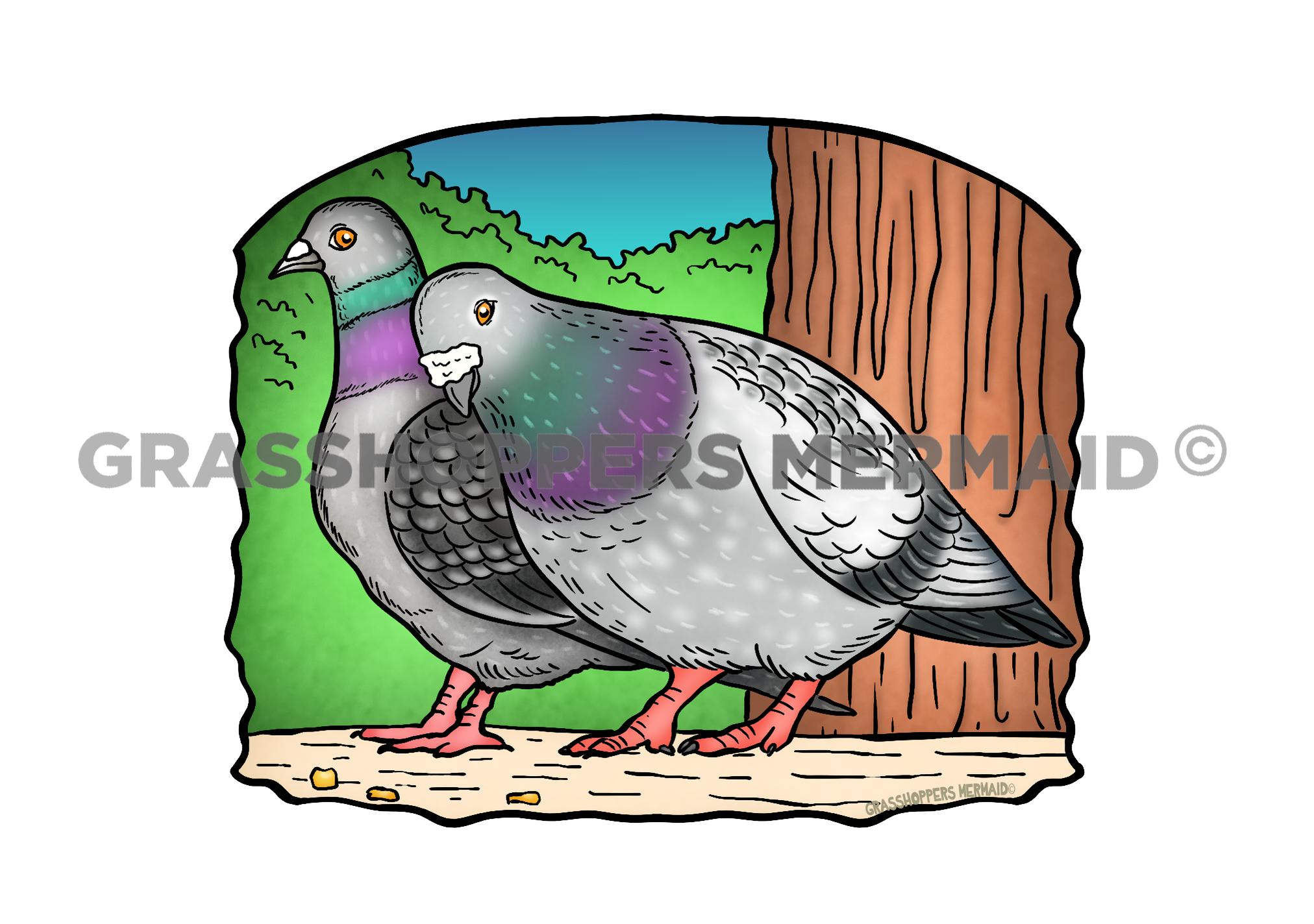 Pigeons