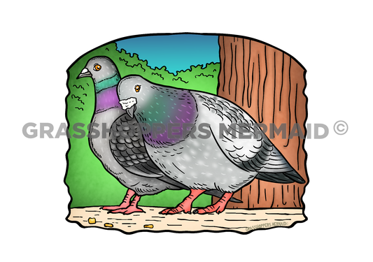 Pigeons