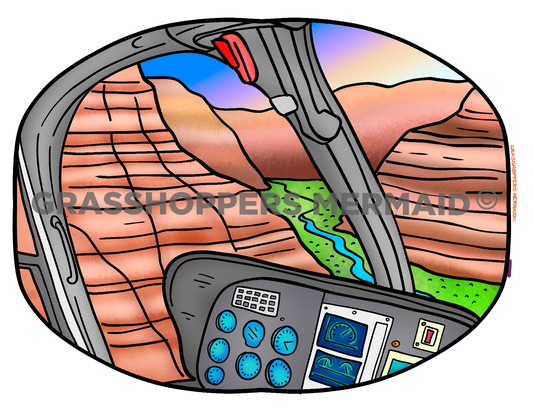 Pilot Cabin