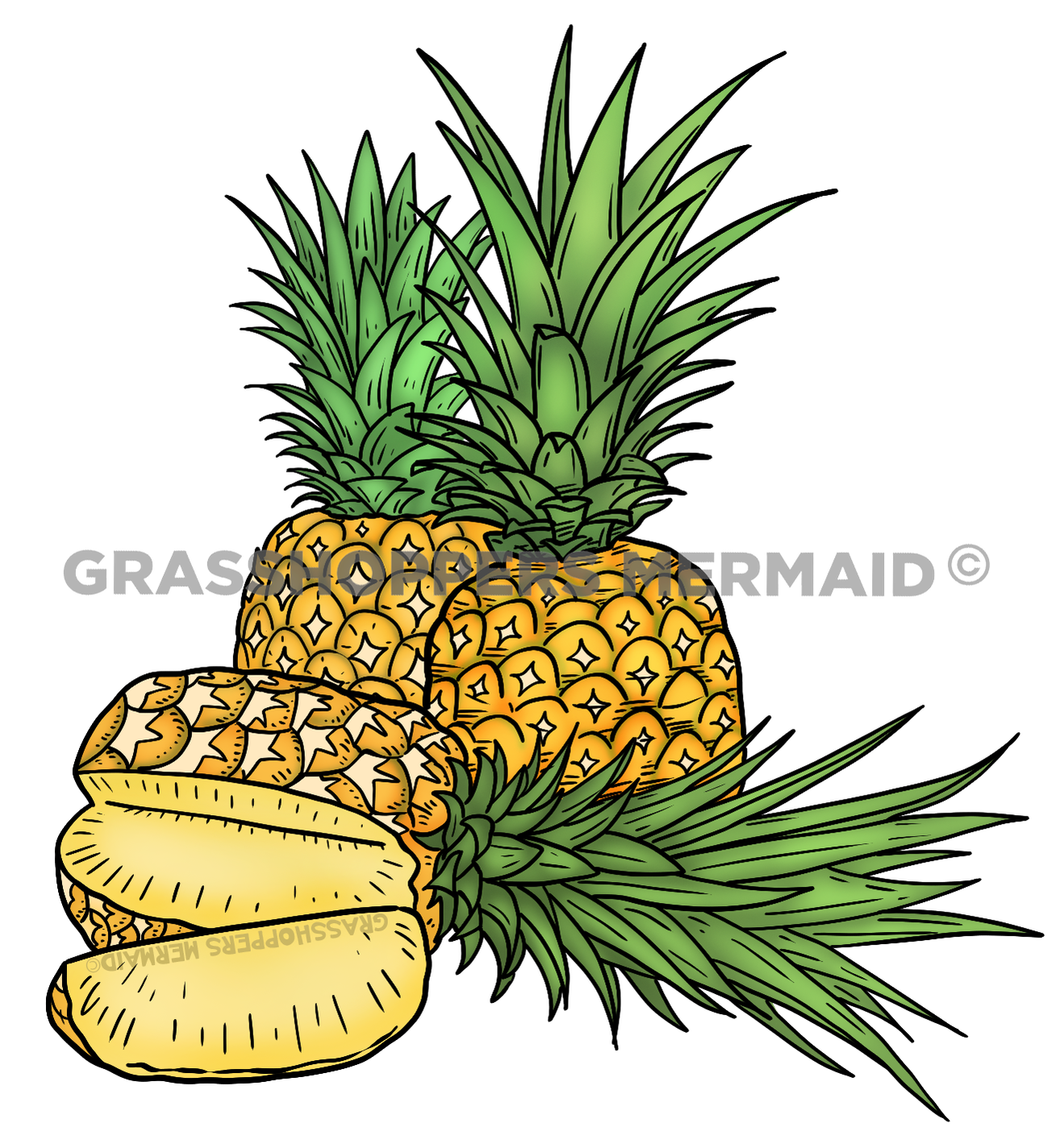 Pineapple Family