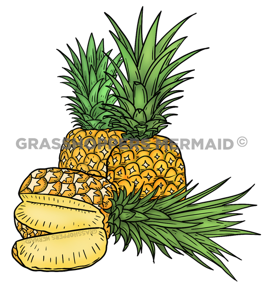 Pineapple Family
