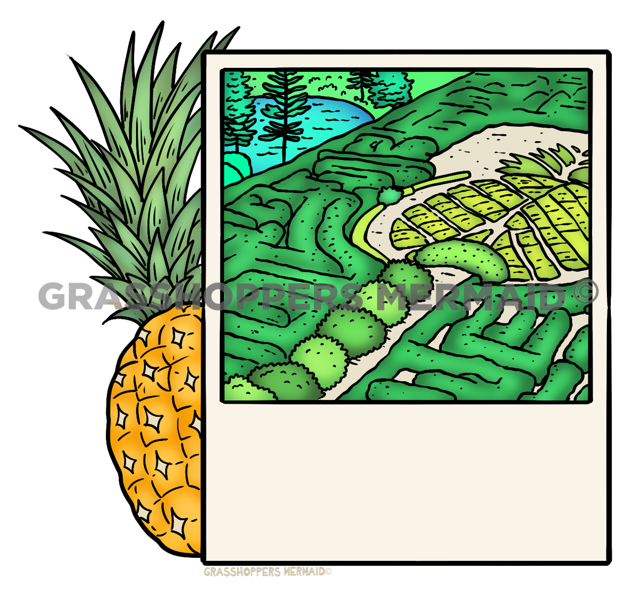 Pineapple Maze Polaroid