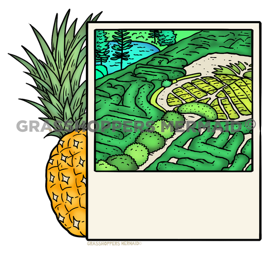 Pineapple Maze Polaroid