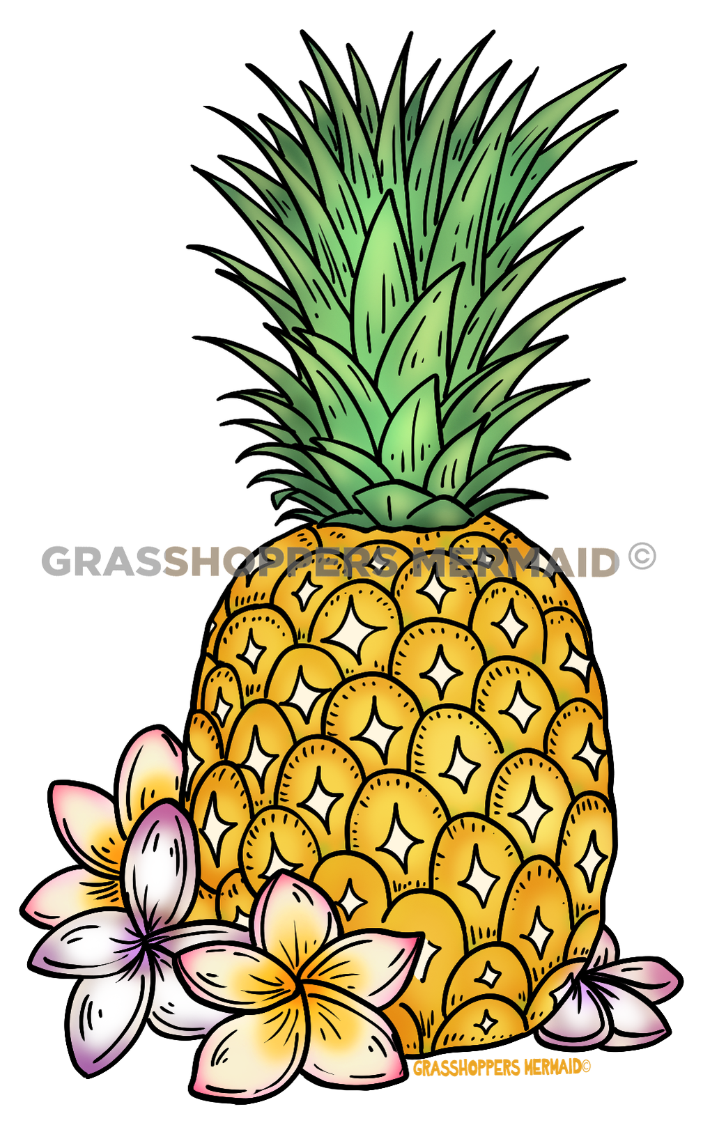 Pineapple and Plumerias