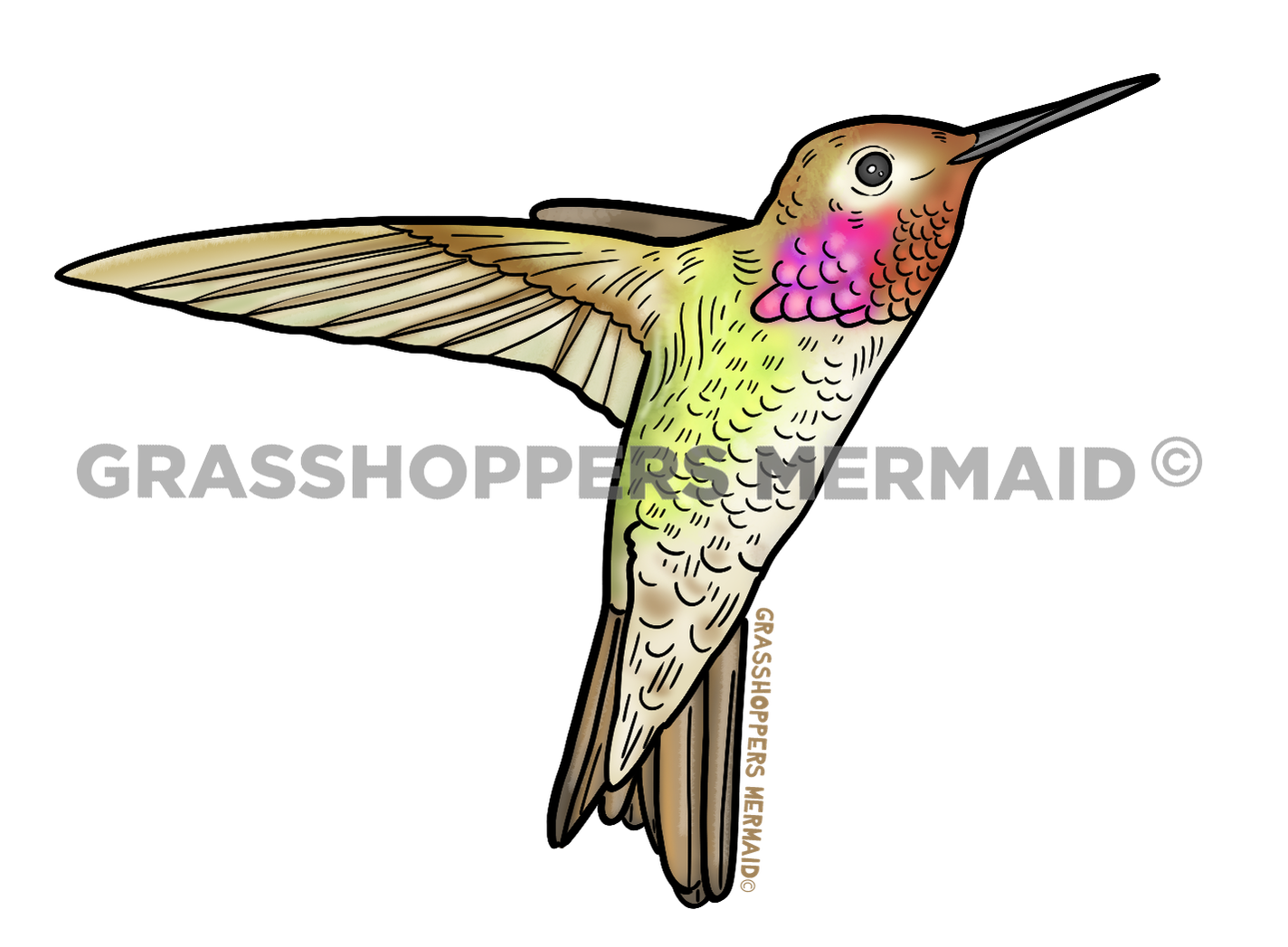 Pink Hummingbird