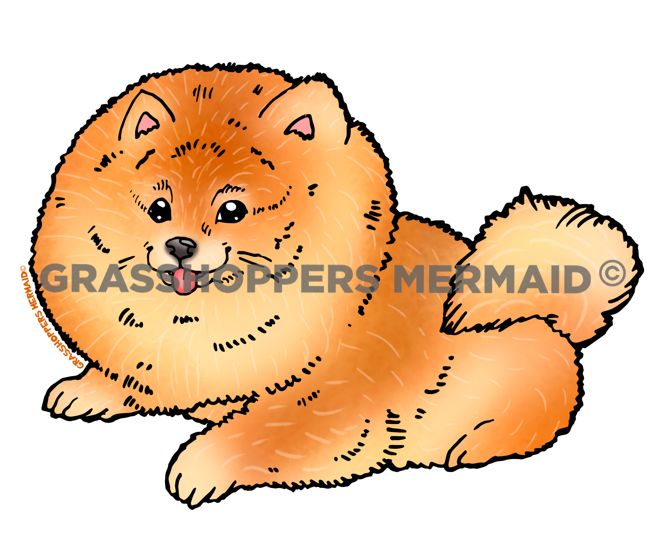 Pomeranian