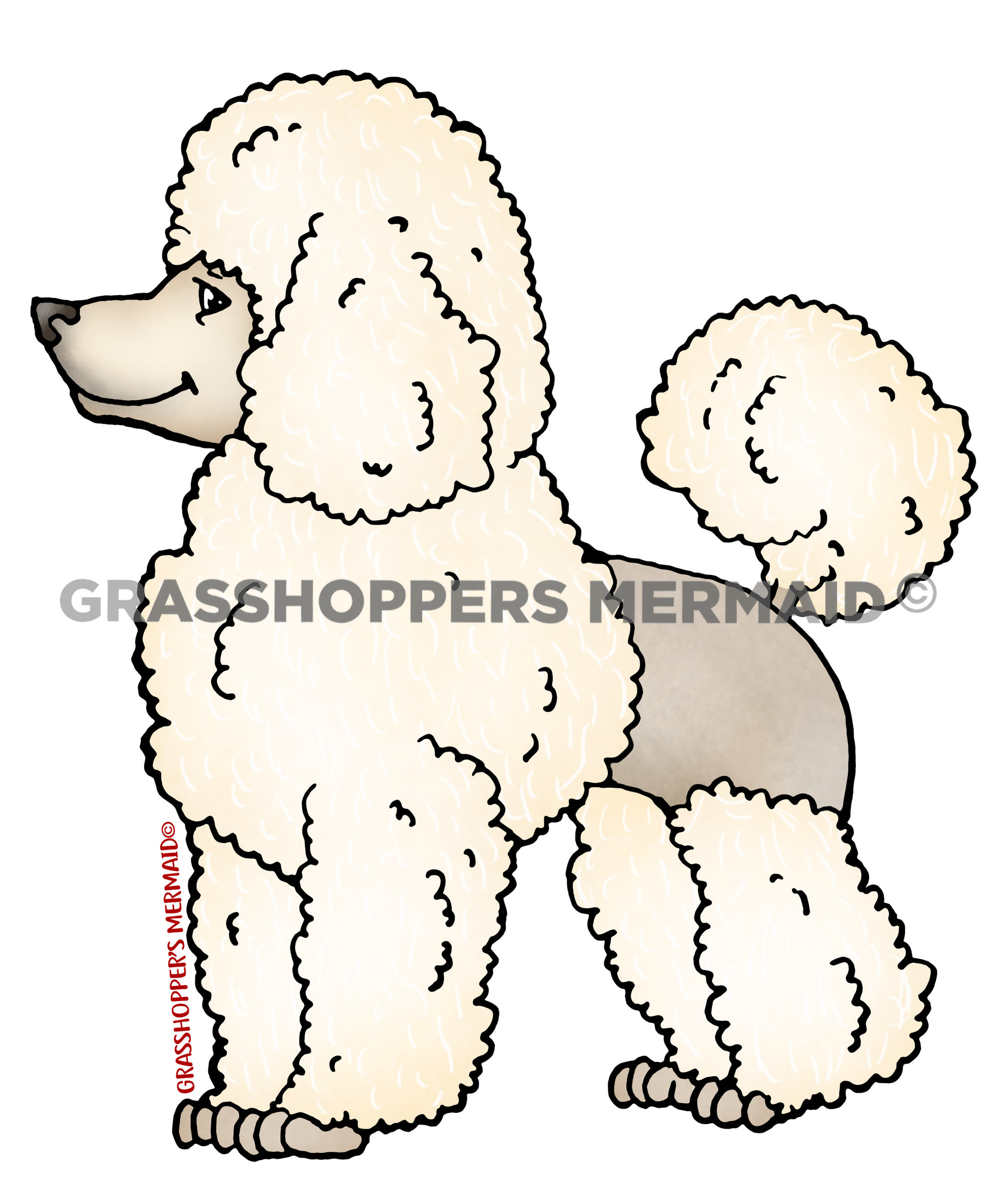 Poodle