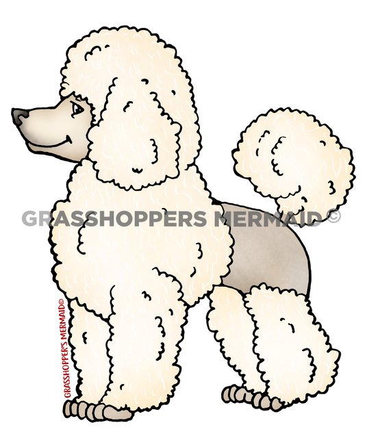 Poodle