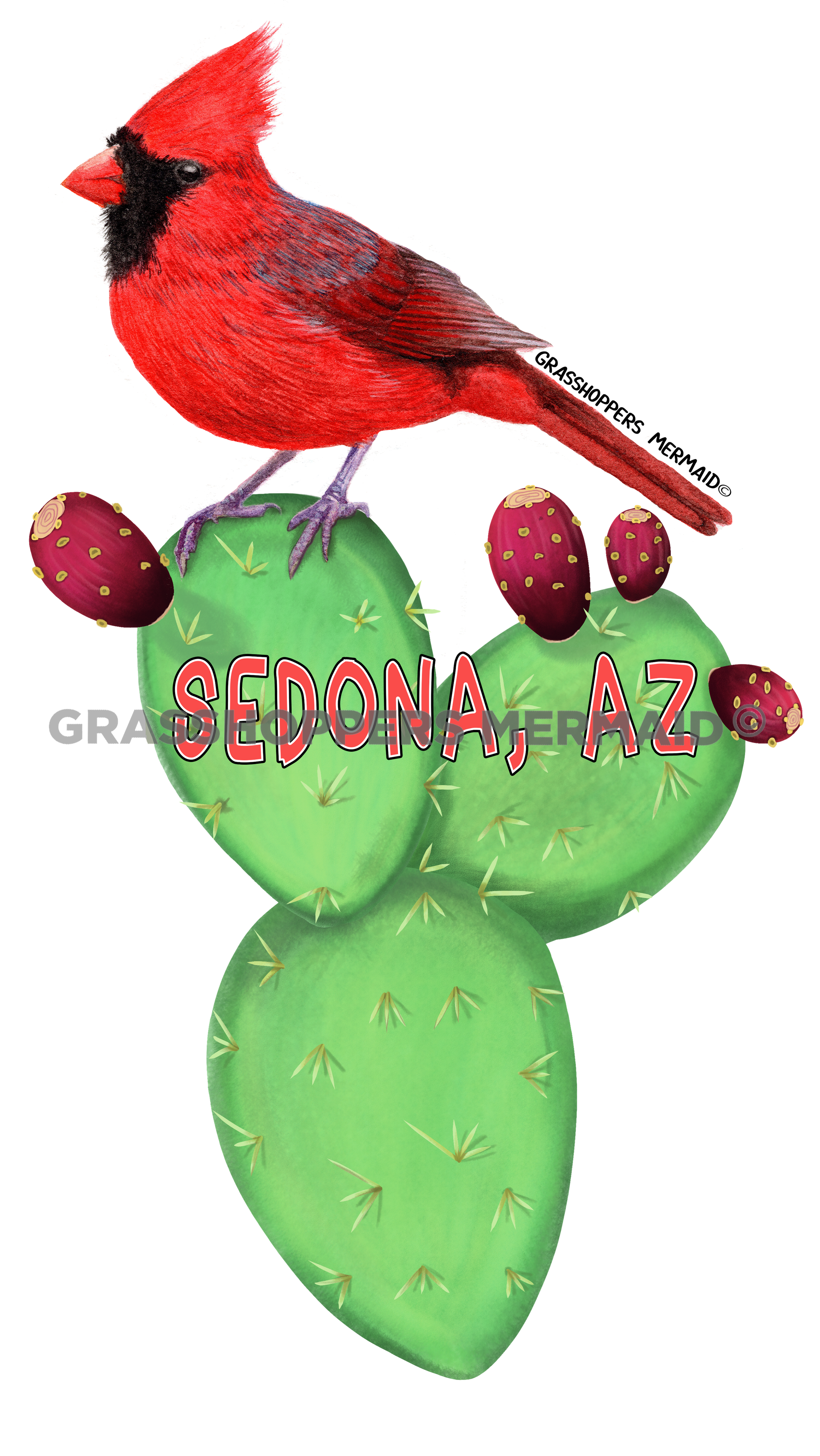 Prickley Pear Cardinal