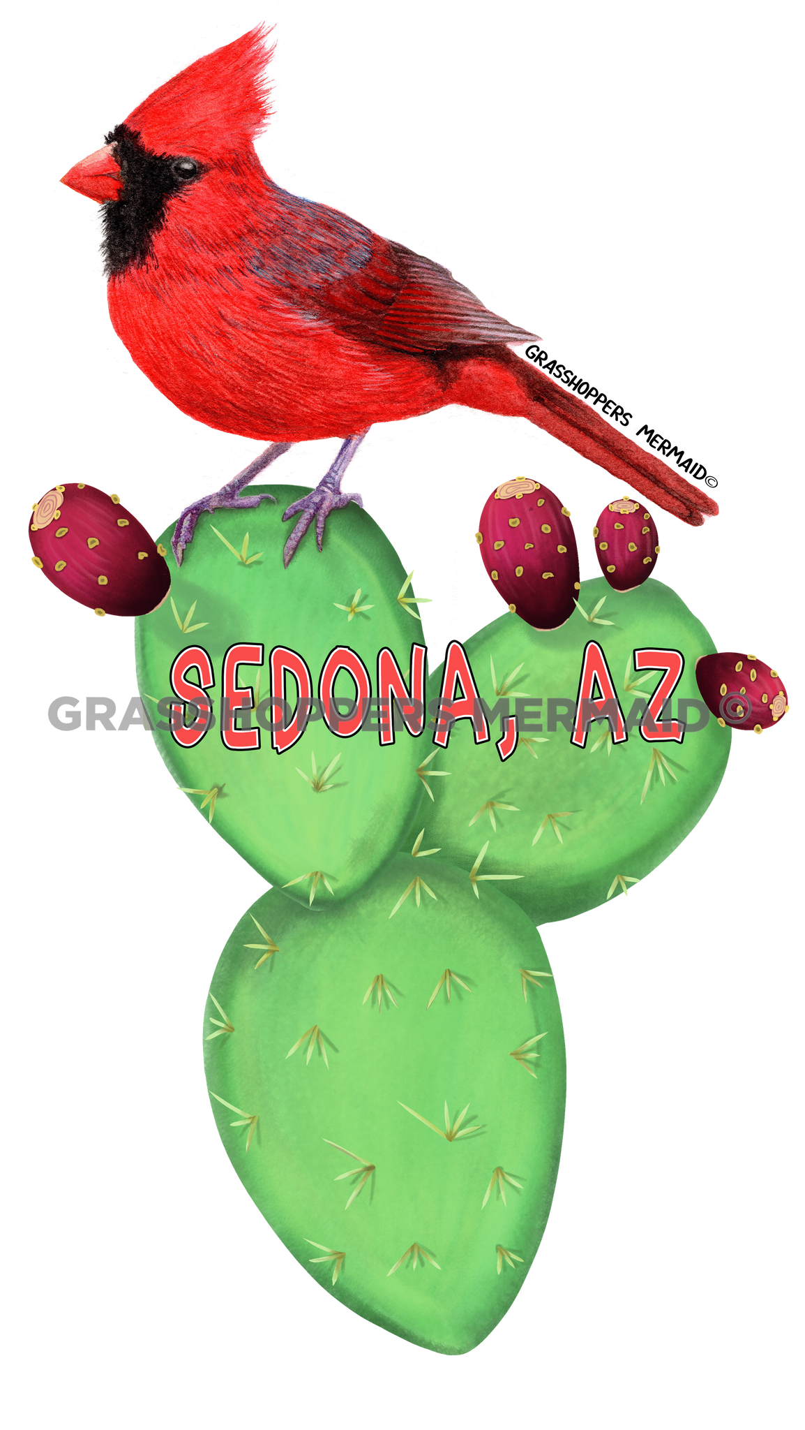 Prickley Pear Cardinal