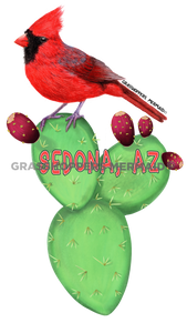 Prickley Pear Cardinal