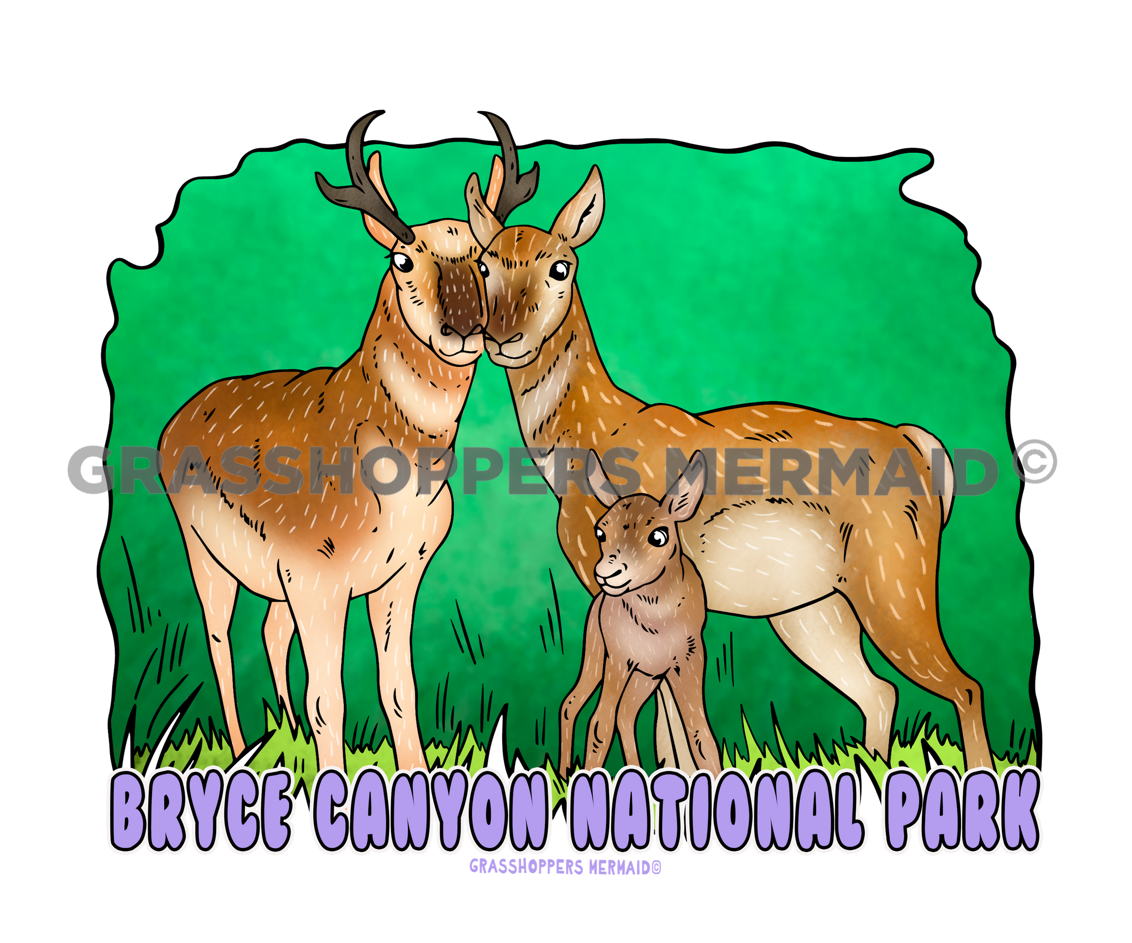 Pronghorn Family
